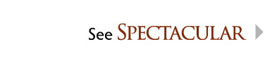  See Spectacular 